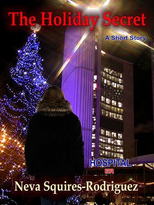cover image of The Holiday Secret